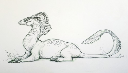 redtallin:Some recent fun and silly sketches of cat-raptors, which have unfortunately now been stuck