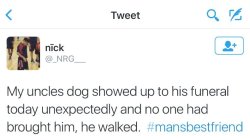 the-absolute-funniest-posts: ok i’m calling it right here, dogs win.