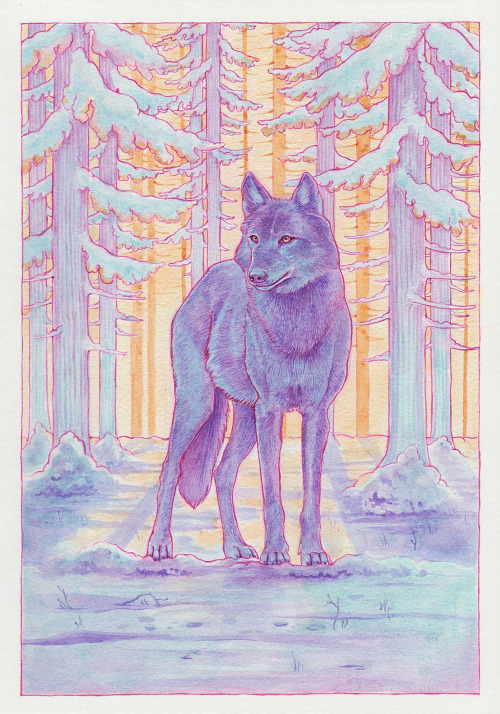 leac-art:I’d love to take a stroll in a snowy forest right now, but since I can’t, I painted one ! I