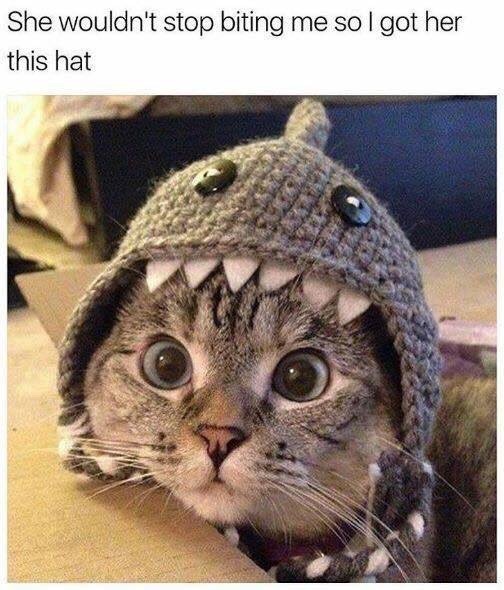 copperbadge: snatch-daddy:  cat-memes-only:    You have only made her stronger. 