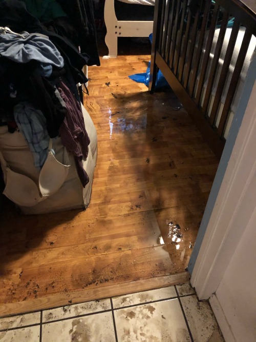 Hi Everyone. I’m A Disabled Trans Poc And My Family And I Just Lost Everything In The New York Floods.