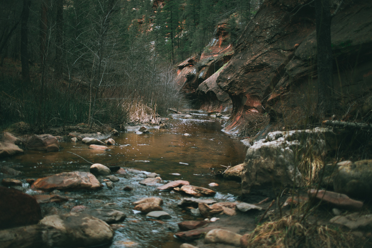 itsnatalieallen:  West Fork Trail, AZ.
