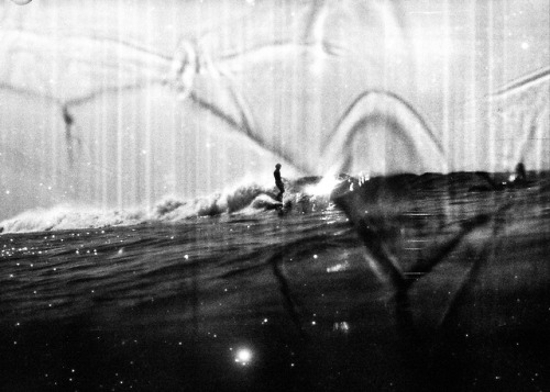 ledaze:Waterlogged Film Pt. 2. Nikonos II. 