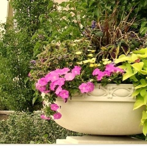Landscape Natural Stone Pavers In Chicago