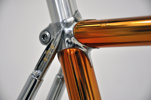 marcowarwick:  Sexon Special Frame by Cherubim