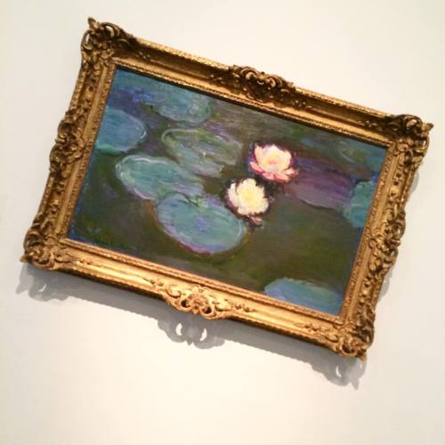 Elle est calme #lacma #losangeles #monet #claudemonet #waterlilies #nympheas #frenchlessons