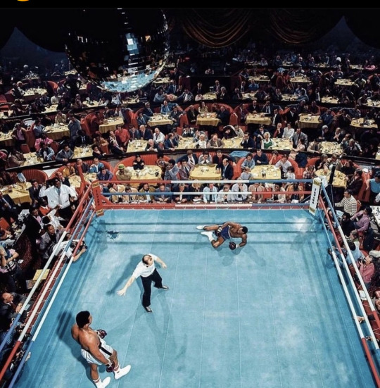 XXX ee7:Over head knockouts from Muhammad Ali photo