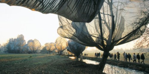 theartistsmanifesto: Christo and Jeanne-Claude, Wrapped Trees, Fondation Beyeler and Berower Park, R