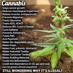 cleanbodyfreshstart:  Credit: http://www.thestonerscookbook.com/ It’s time for this to be shared, I ask my followers to have open minds and for a moment, let go of the opinions you have created, especially if you have never smoked before. It’s high