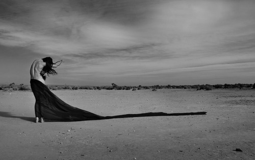ravens-laughter: Standing Against The Wind sekaamodel