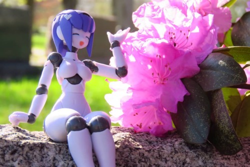 Happy the flowers are back. #toyphotography #actionfigures #polynian #daibadi #polynians #clover #to