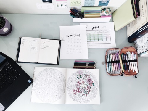 studywithannie:  Day 1/100 of Productivity I’m trying my best to not be bored because it&rsquo