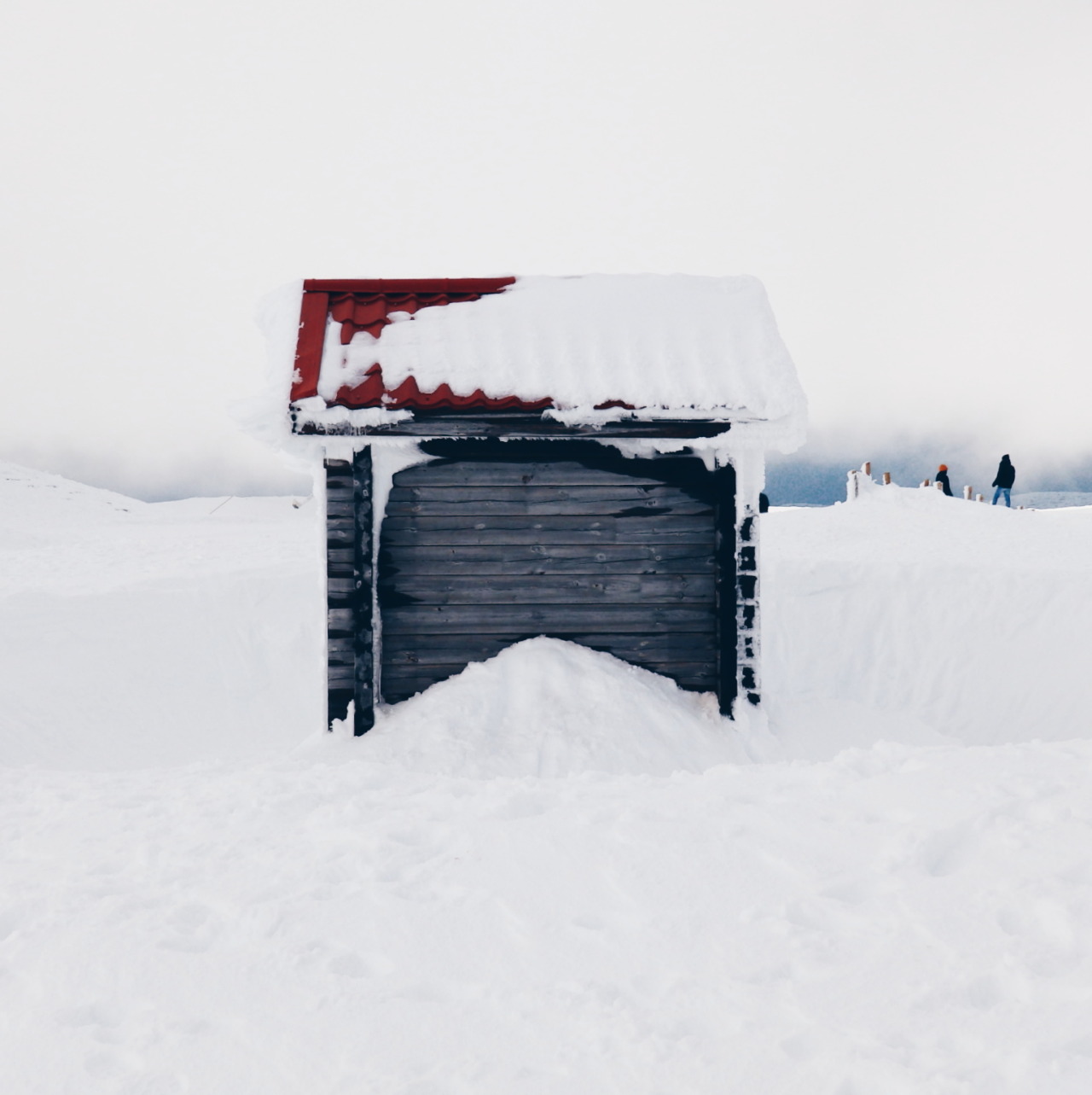 danielodowd:  http://heyluisa.vsco.co/