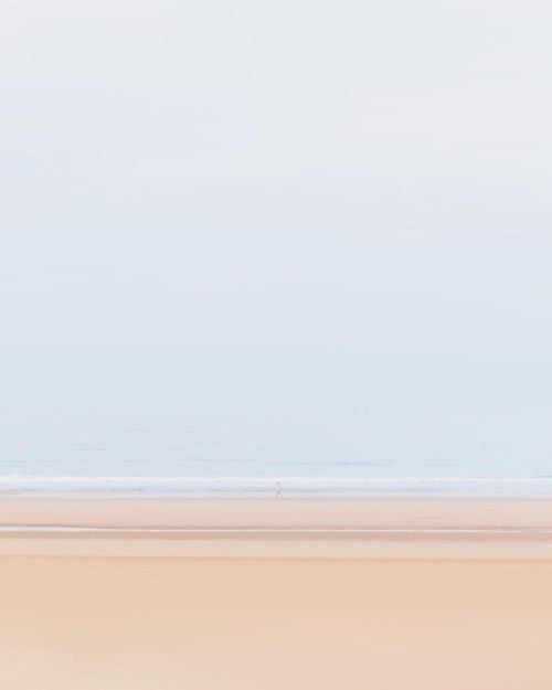nevver: Isolation Party, Teresa Freitas