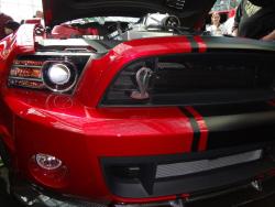 fuckyeahfordmustangs:  NYIAS 2013 Shelby