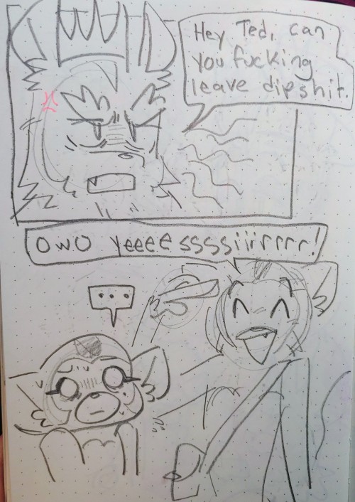 Silly Animals