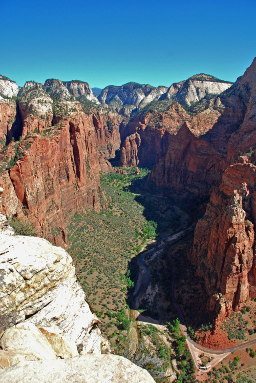 trekethos:Zion National Park, UtahHiking Angels Landing in Zion.