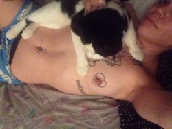 fuckmestupid:  Kitties and titties. Buster