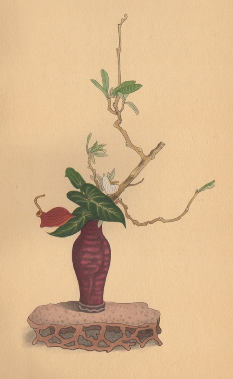 From Selected Flower Arrangements of the Ohara School, arranged by Koun Ohara, explained by K. Nakah