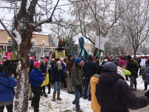 doctornsara:  Went and joined my local million woman march.