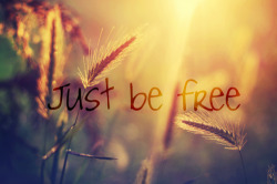 just be free en We Heart It. http://weheartit.com/entry/68336142/via/kathdiaz