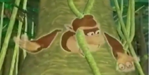 Birth and Realization of Life: By Donkey Kong