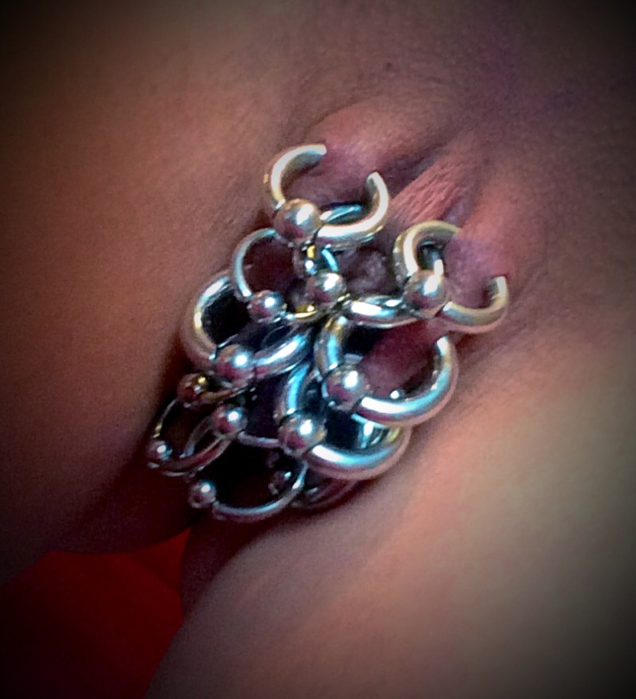 pussymodsgaloreA well pierced pussy with good sized rings. Going by the rings, she