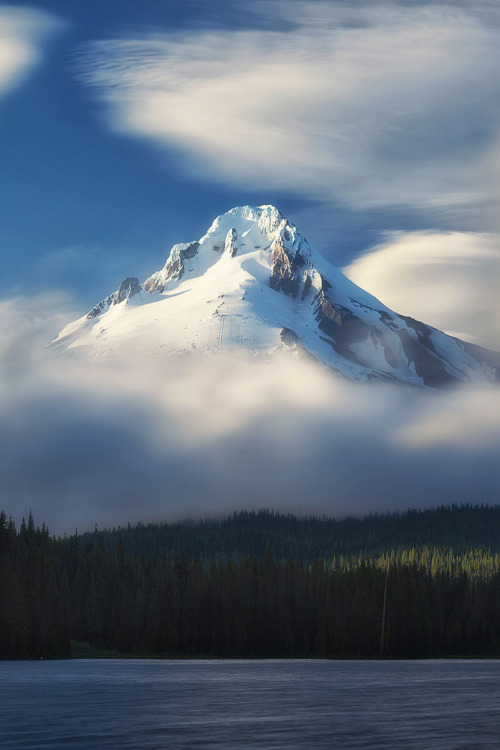 souhailbog:  Dominance   | © Photographer  |  LFST