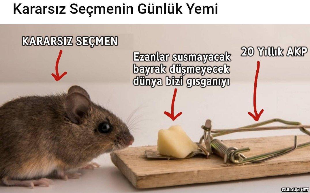 Kararsız Seçmenin Günlük...