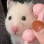 kozlovamimi