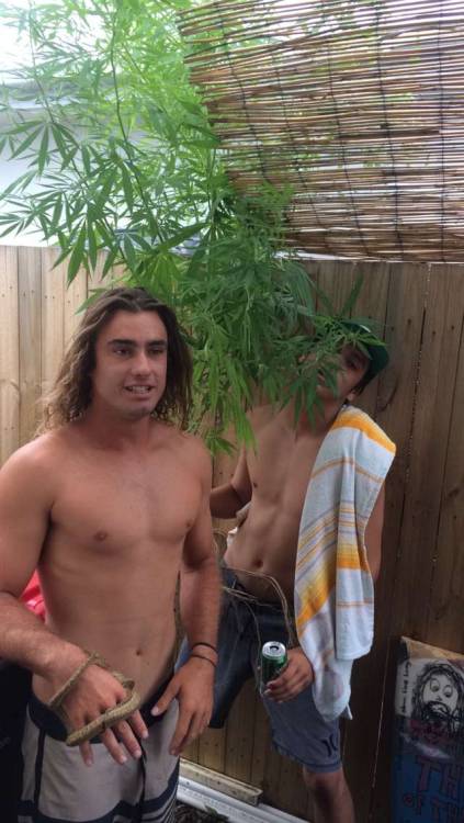 kambreycollins:  Australian surfer guys. Uncut.