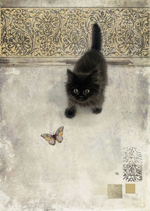 lagaleriapopurri:Jane Crowther