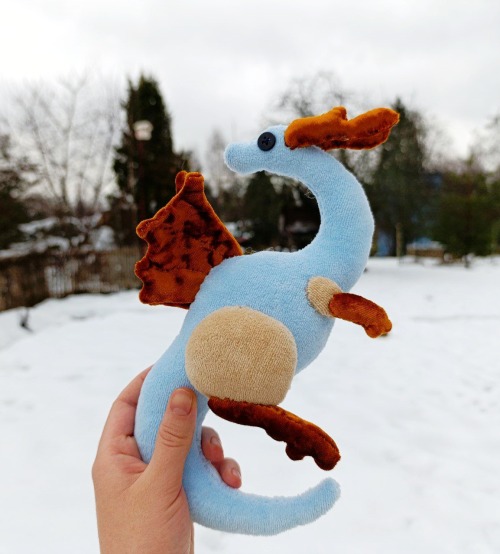 Lil Northern Dragon!