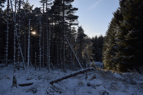 Craigower, PitlochryWhen we woke up and saw that there was some fresh snow outside, we immediately p