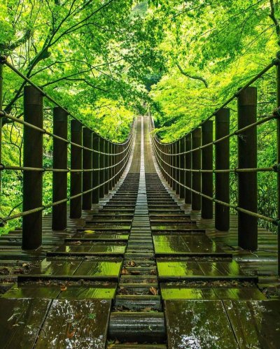 rebel-heart-gypsysoul: