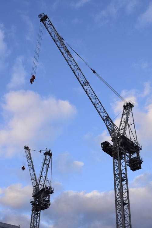 Cranes, Oldfield Lane North, Greenford, London Borough of Ealing, London, UK, March 2021. #cranes #c