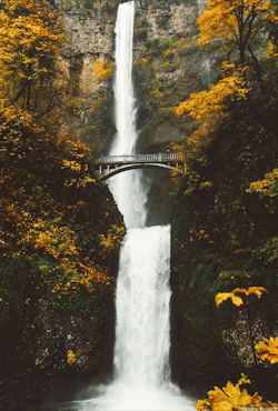 ancientoriginses:  banshy: Multnomah Falls by Davey Hibler El lugar ideal por el que perderse hoy viernes… ¿Te vienes? ;) ¡Buenos días!  