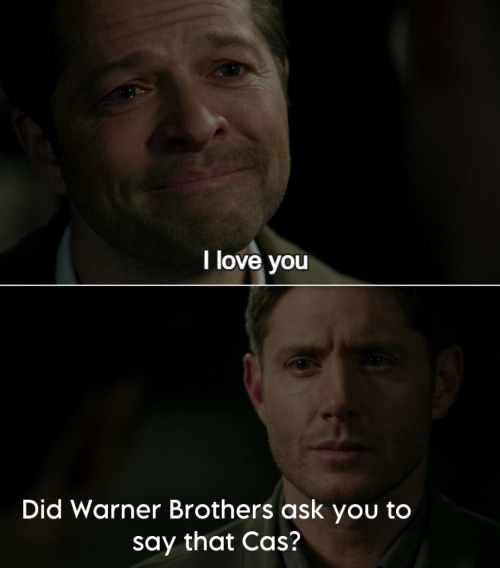 Something Something Spn Tumblr Is Having A Field Day Again 