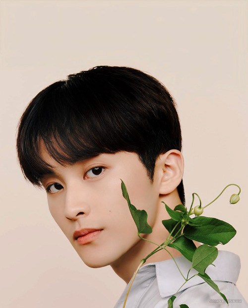 johnsjunsuh:NCT 127 x Nature Republicdon’t repost