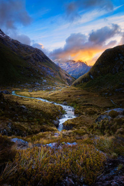 radivs:  'Lost in Paradise' by Goff Kitsawad via 500px