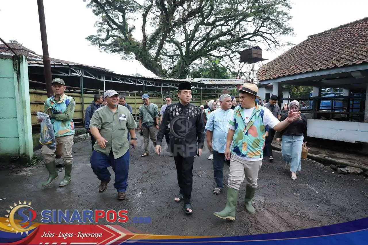 Erwin Sembelih Sapi Kurban dari Presiden RI dan Wali Kota Bandung