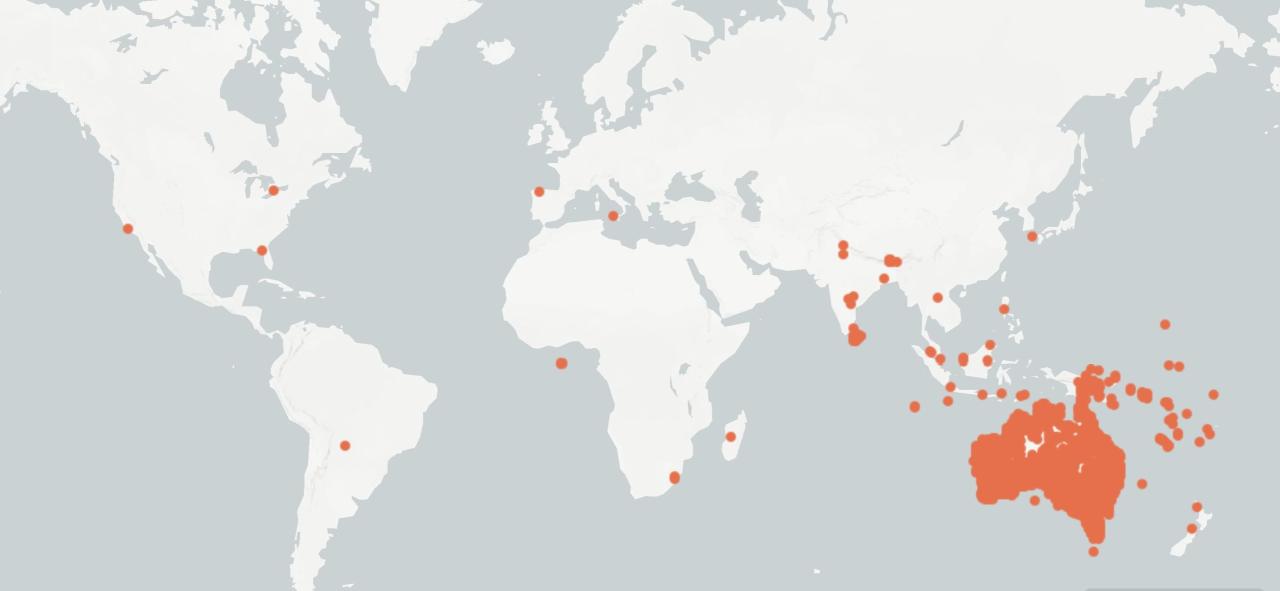 Worldwide habitats of Huntsman - 43f8d334791c0e054a548bafd10bd30b3d2b6c44