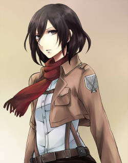 shingekinokyojins:  MIKASA