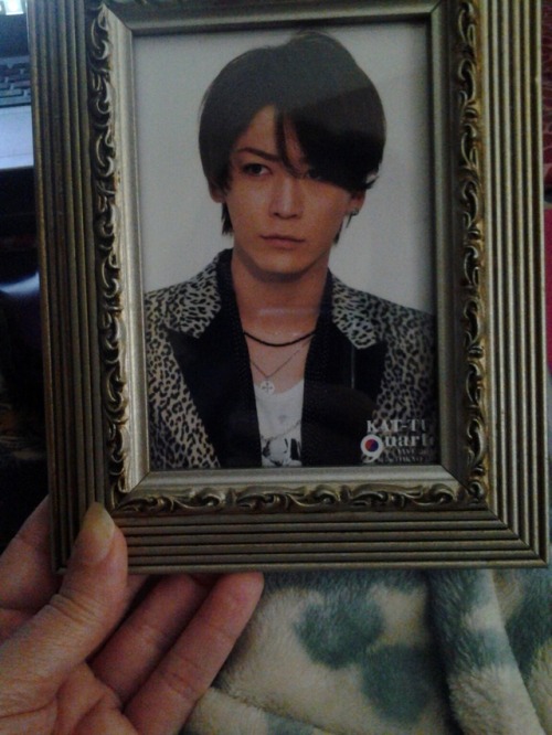 I&rsquo;ve been ordering pictures of Kame for my collection and I was finally able to update my pic 