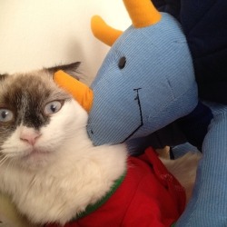 catasters:  “Ok, I’m scared of dinosaurs…”