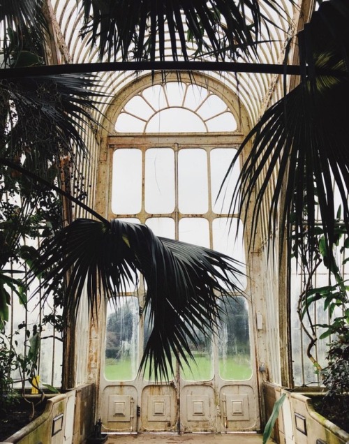 opulentmemory:Kew Gardens