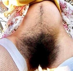 Porn Pics hairyhariest: