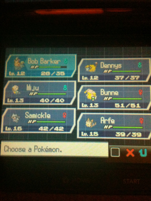 Current team