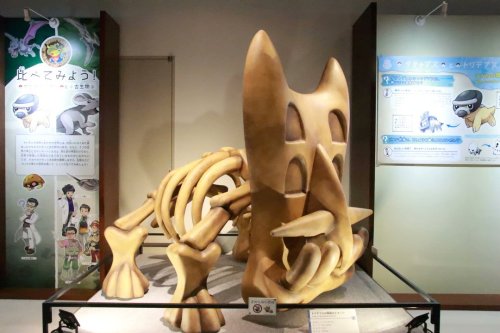 Images From The Pokemon Fossil Exhibit.