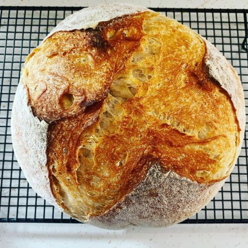 Fresh from the oven. Being able to make bread every week is a really nice thing about #WFH #wfhlife 